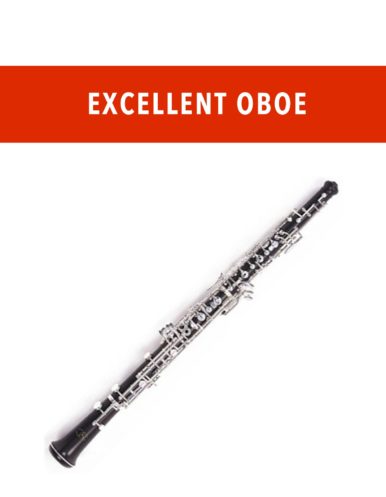 Excellent Oboe