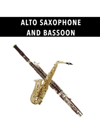 Alto Saxphone and Bassoon