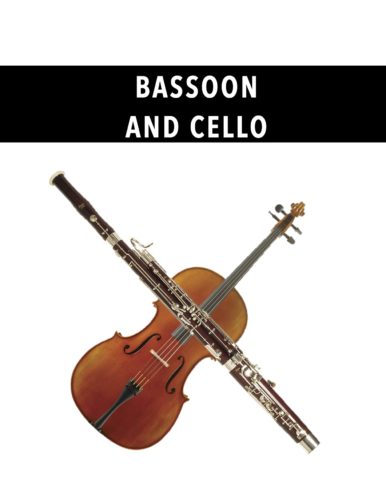 Bassoon and Cello
