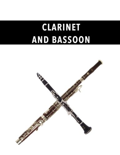 Clarinet and Bassoon