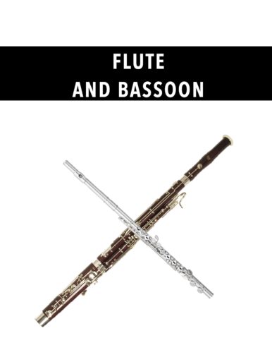 Flute and Bassoon