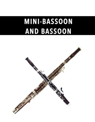 Mini-Bassoon and Bassoon