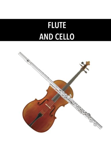 Flute and Cello