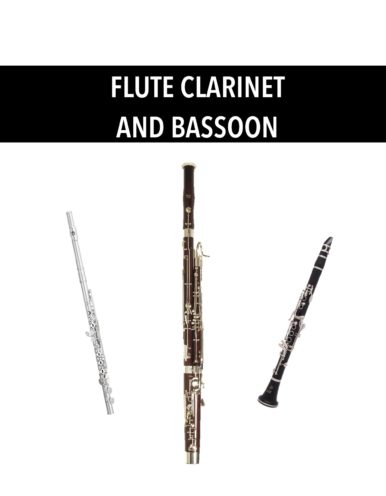 Flute, Clarinet, and Bassoon