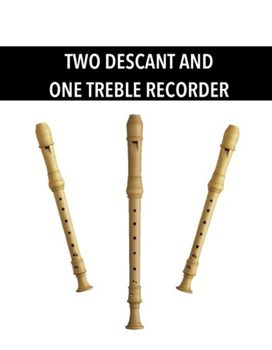 Two Descant and One Treble Recorder