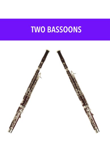 Two Bassoons