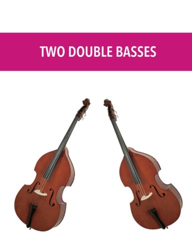 Two Double Basses